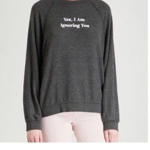 Wildfox sweatshirt